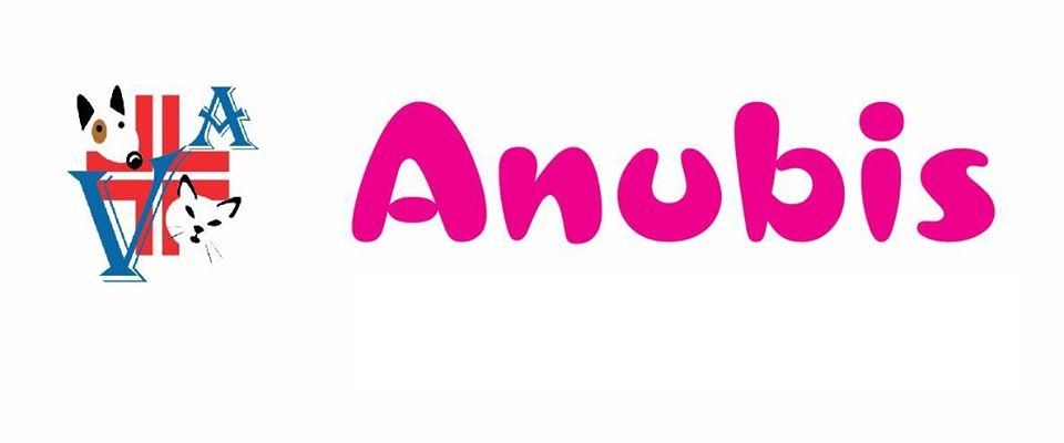 Anubis