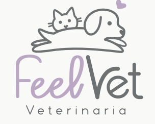 Feel Vet